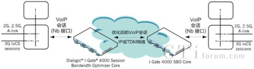3G �Ƅ�(d��ng)�W(w��ng)�j(lu��) Nb VoIP ��(hu��)Ԓ��(y��u)��